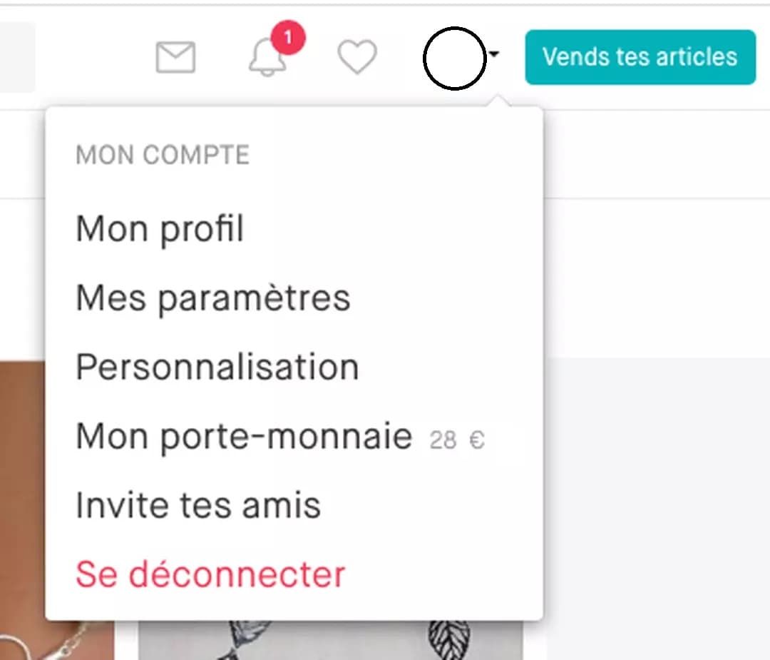 Déconnexion Vinted - Guide complet sécurisé